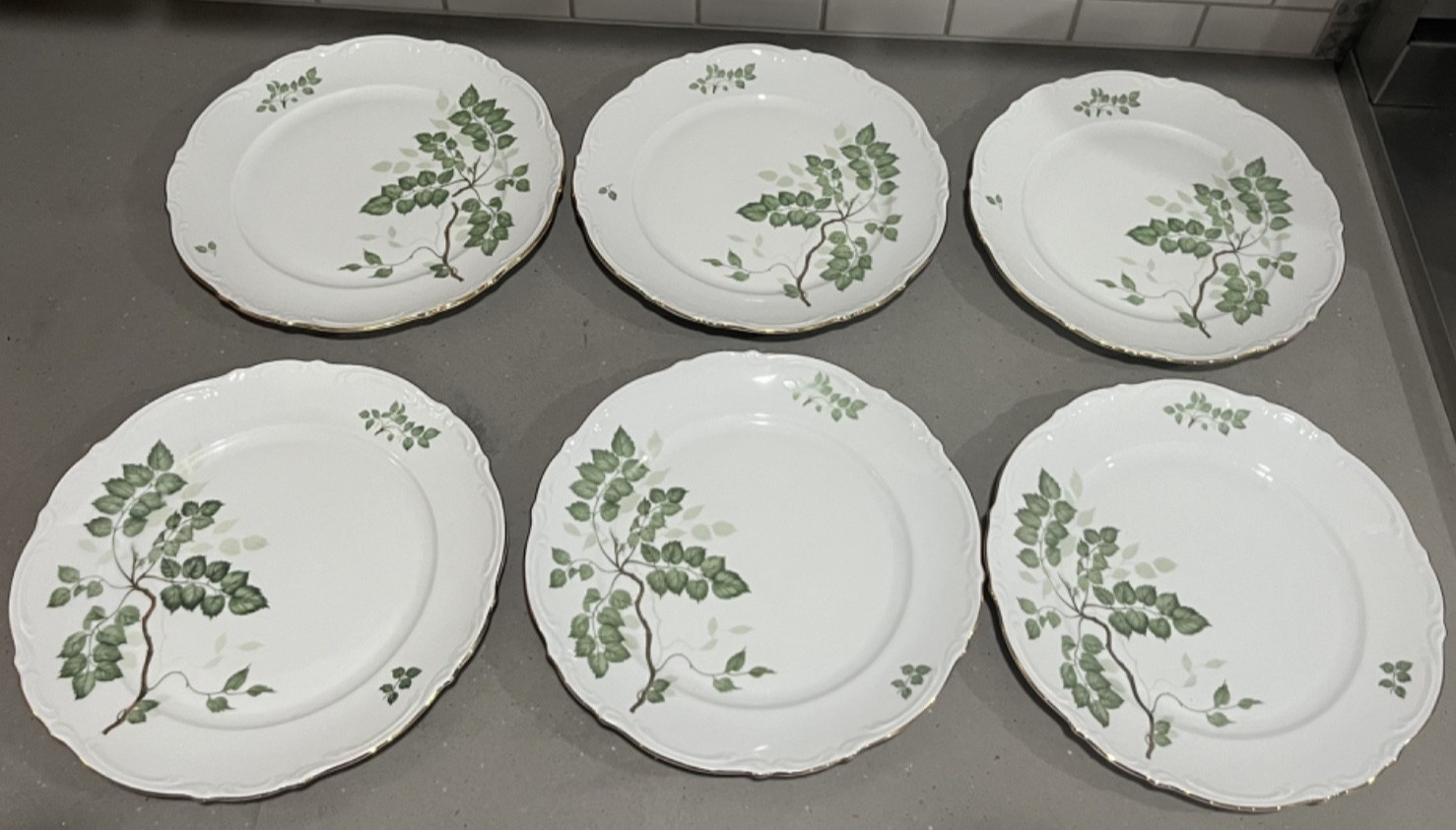 Mitterteich Germany Dinner Plate(s) GREEN LEAVES Bavaria Germany Gold Trim