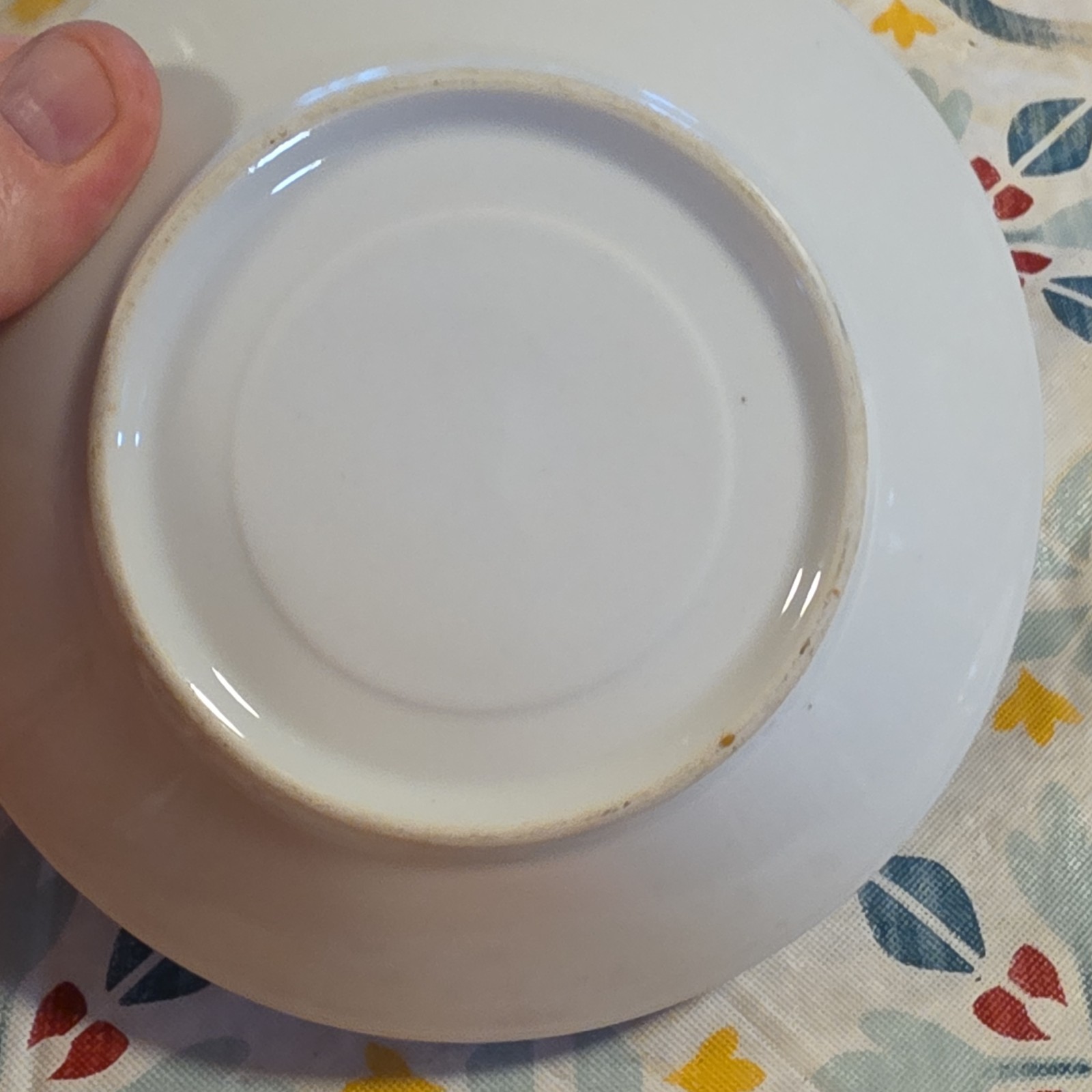 Ceramic Floral Saucer White Pink Green with Gold Rim, Round Decorative