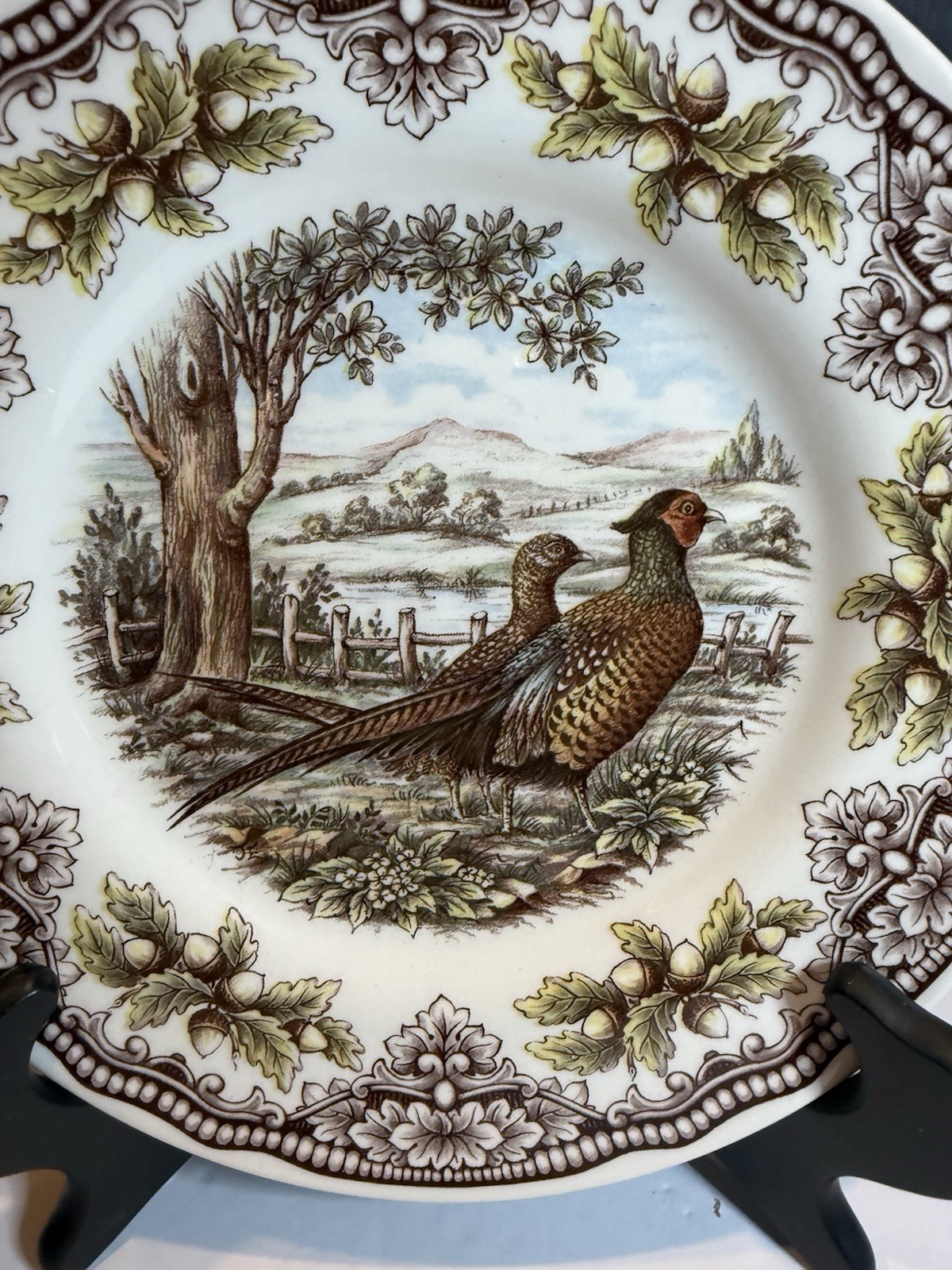 Victorian English Pottery Edward Challinor Pheasant Dinner Plate 9” England
