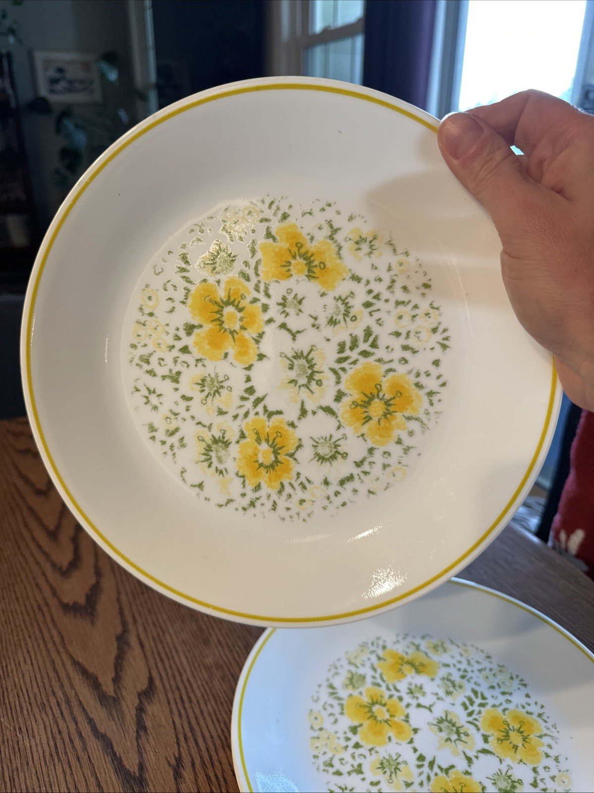 Corelle April Showers Yellow Flowers 10.25” Dinner Plates Corning Vintage