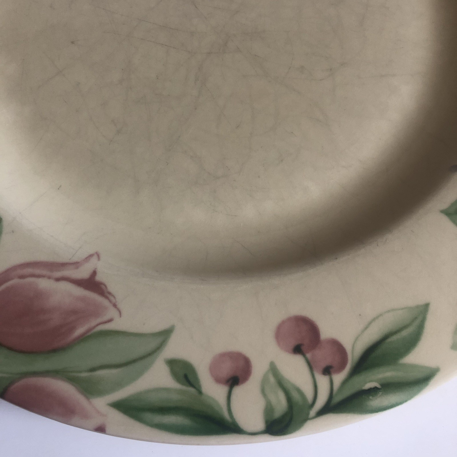 Pfaltzgraff Garden Party Impressions Dinner Plate 10.5″ Sold Separate 8 Availabl