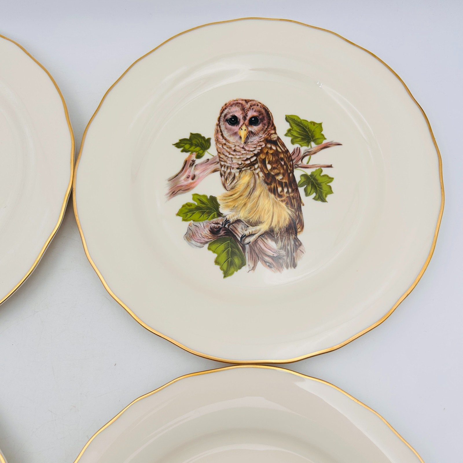 Vintage Pickard 4 Decorative Owls Plates Gold Trim Hangers MCM Birds Wall Art