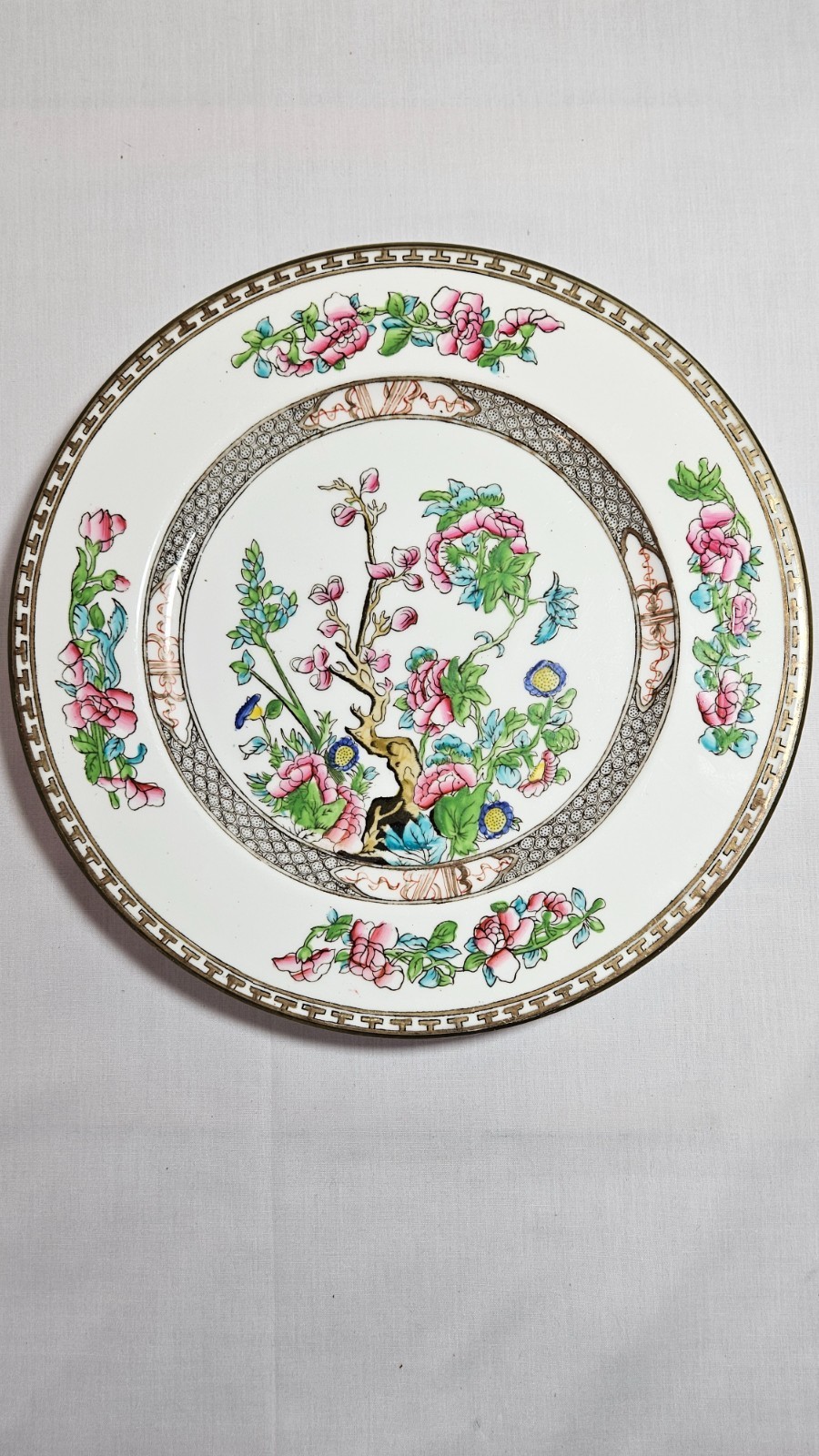 Antique Coalport “Indian Tree” 10.25 inch dinner plate