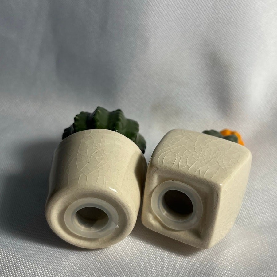 Vintage Succulents Cactus Salt & Pepper Shakers Small Pair Home Decor Western