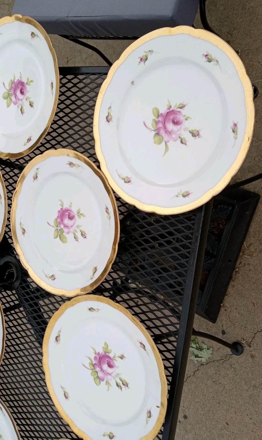 12 Antique Helena Wolfsohn DRESDEN ROSE Porcelain Dinner Plate OVINGTON BROS NY