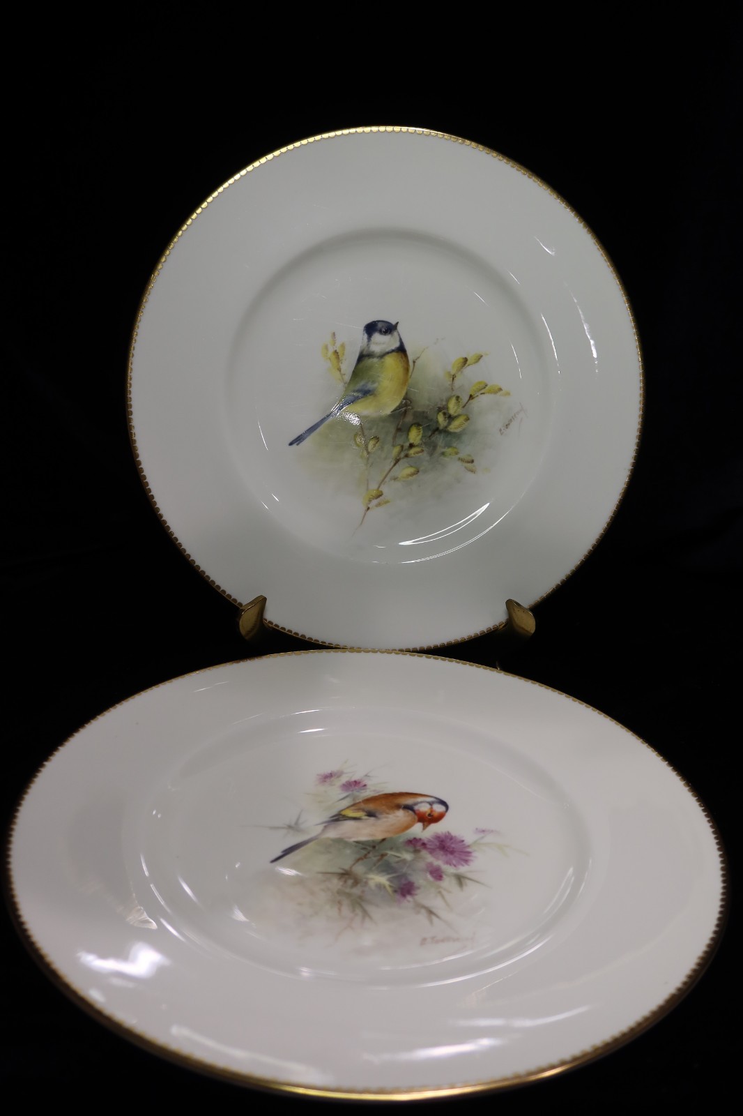 Royal Worcester Multi-Motif Birds Bone China 2 Dinner Plates Artist E. Townsend