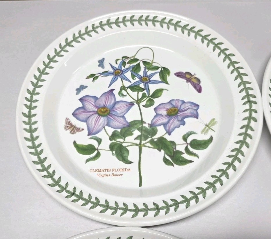 1972 Portmeirion Botanic Garden Set of 6 Rimmed Dinner Plates 10.5” EXC