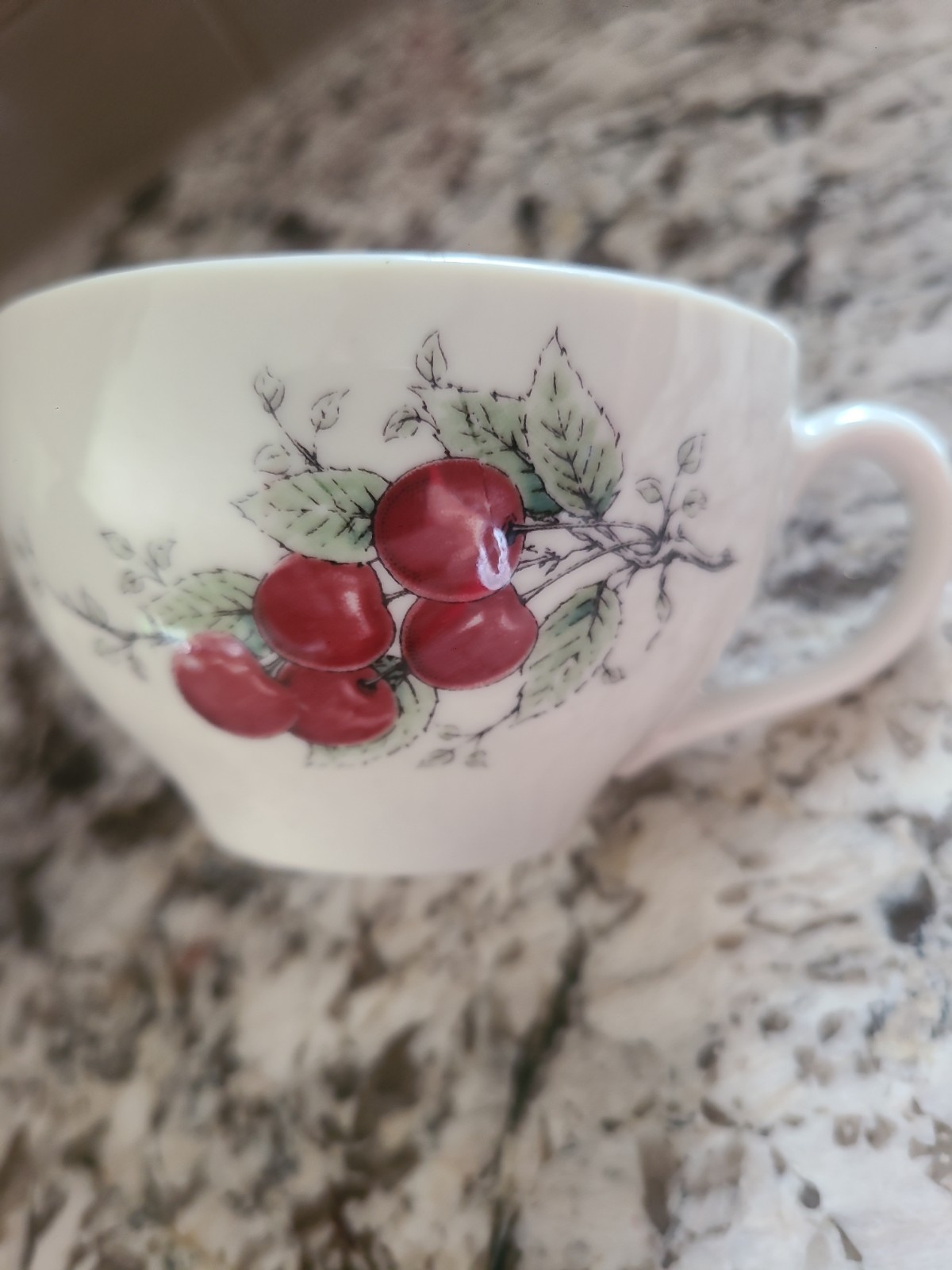 Vtg Carefree True China Syracuse Wayside Coffee Tea Cup Cherry Set/2 Cottagecore