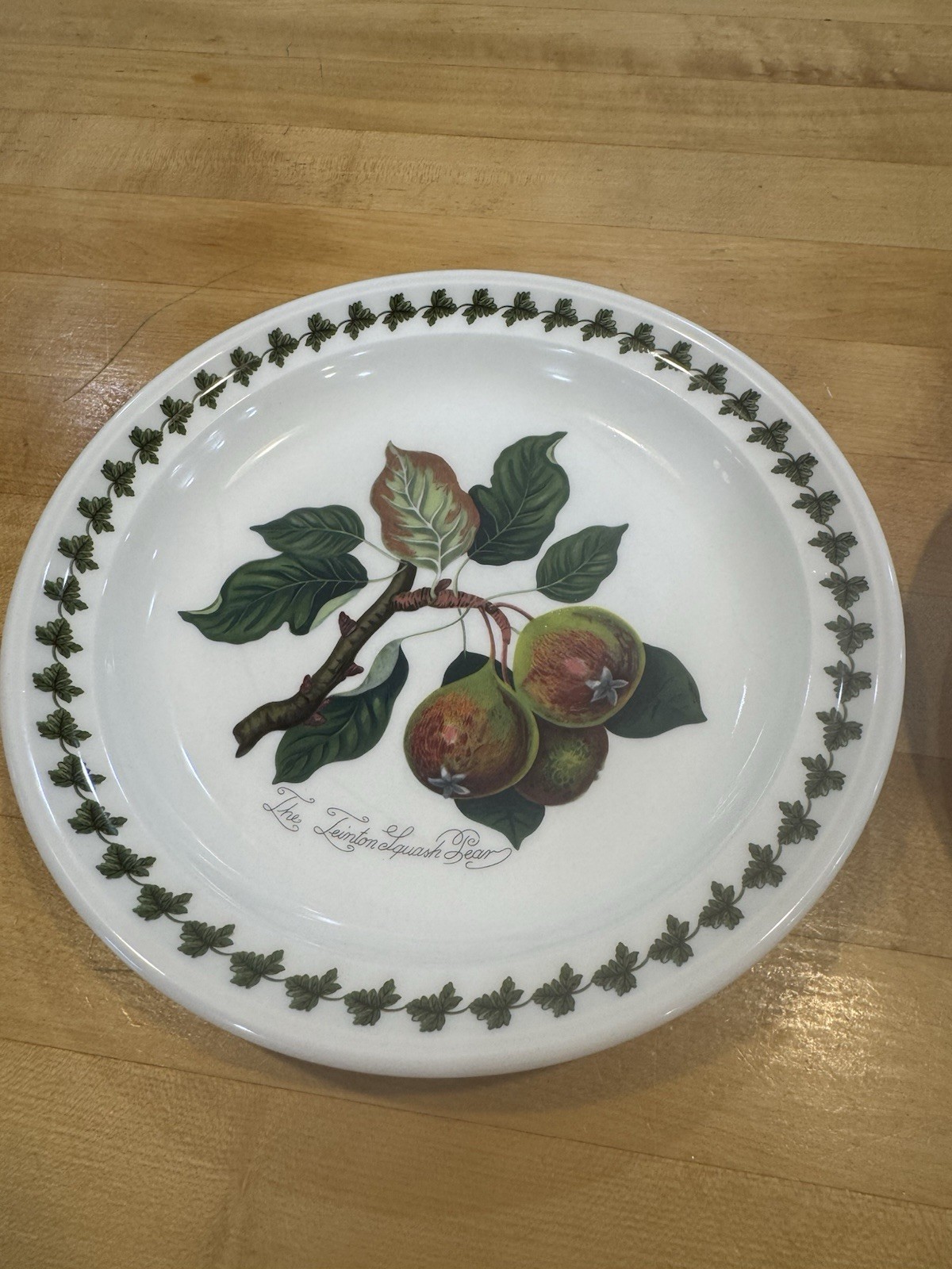 PORTMEIRION Set of 2 POMONA 8.5″ Salad Plates ~ Apple & Pear with Leaf Motif