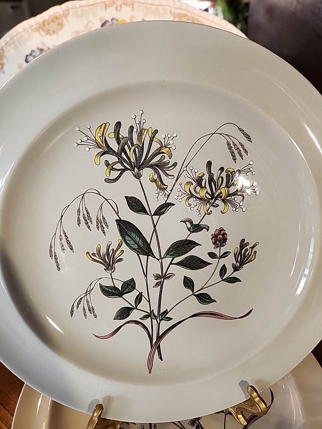Botanical Wedgwood Etruria Country Lane Dinner Plate, Vintage Farmhouse Country