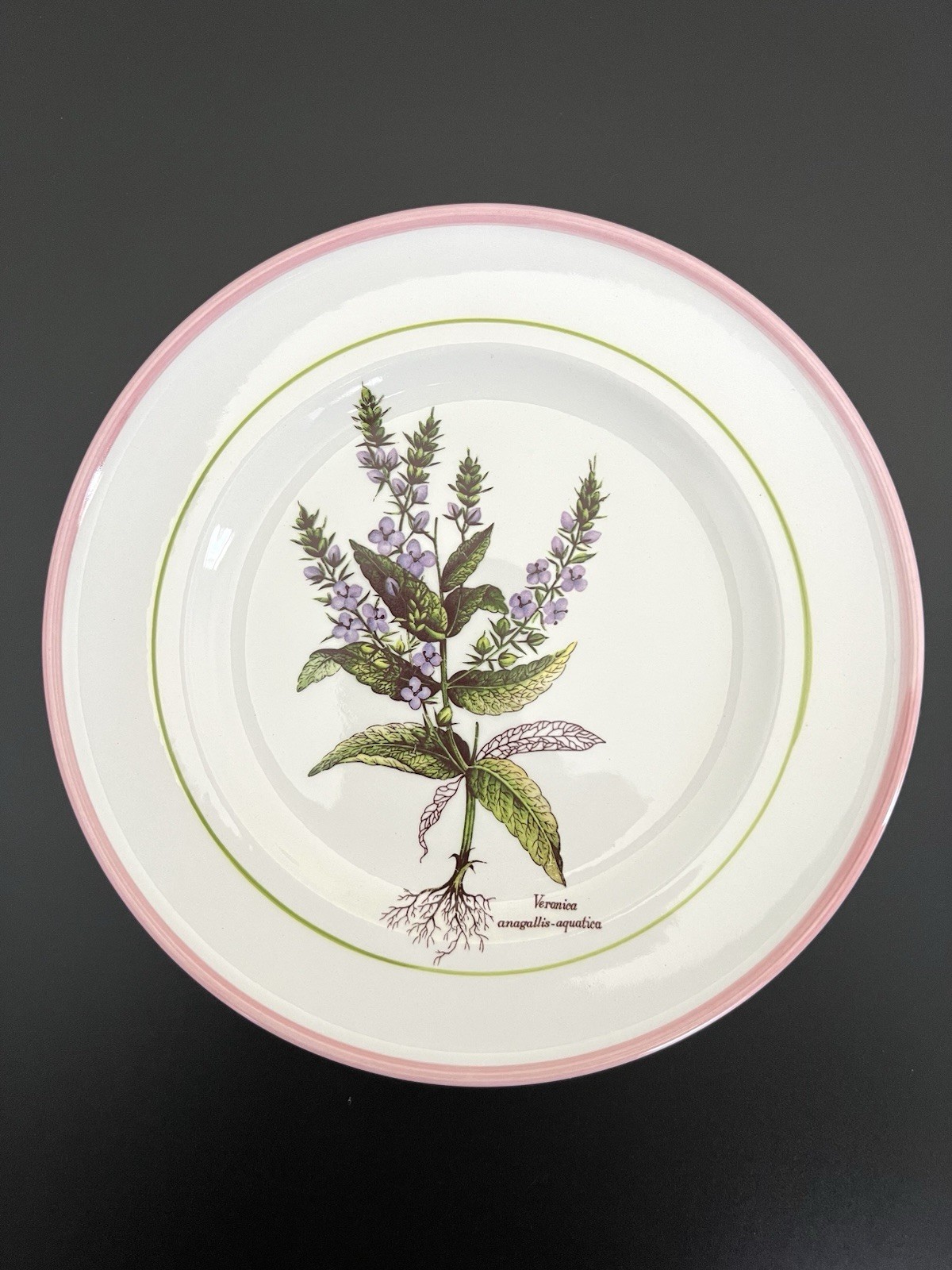 Vintage Botanical Plates 8″ Italy La Primula Hand-Painted Salad Plate Pink Rim