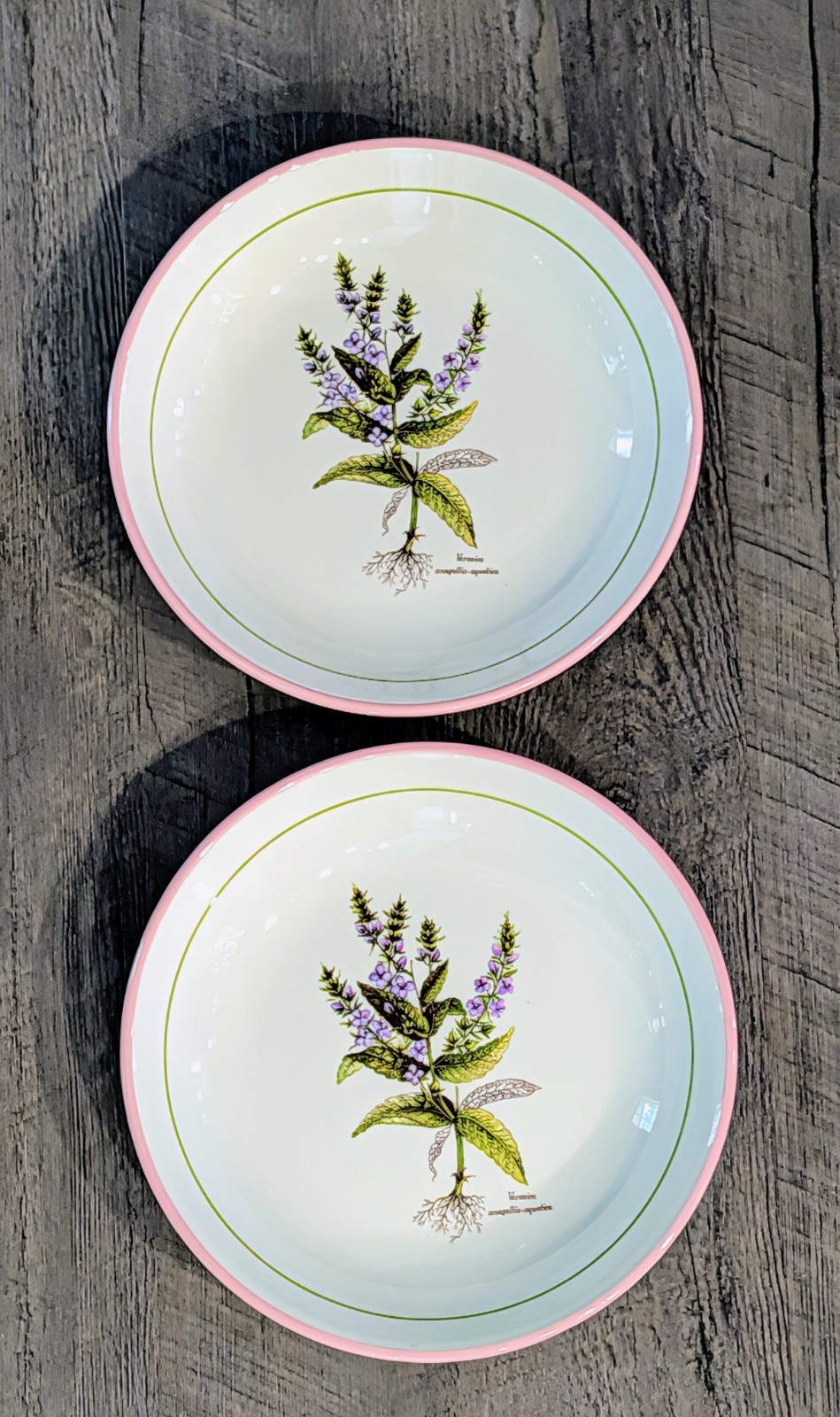 Primula Vintage Salad Plates Made in Italy Lot of 6 Botanical Floral 8″ Pink Rim