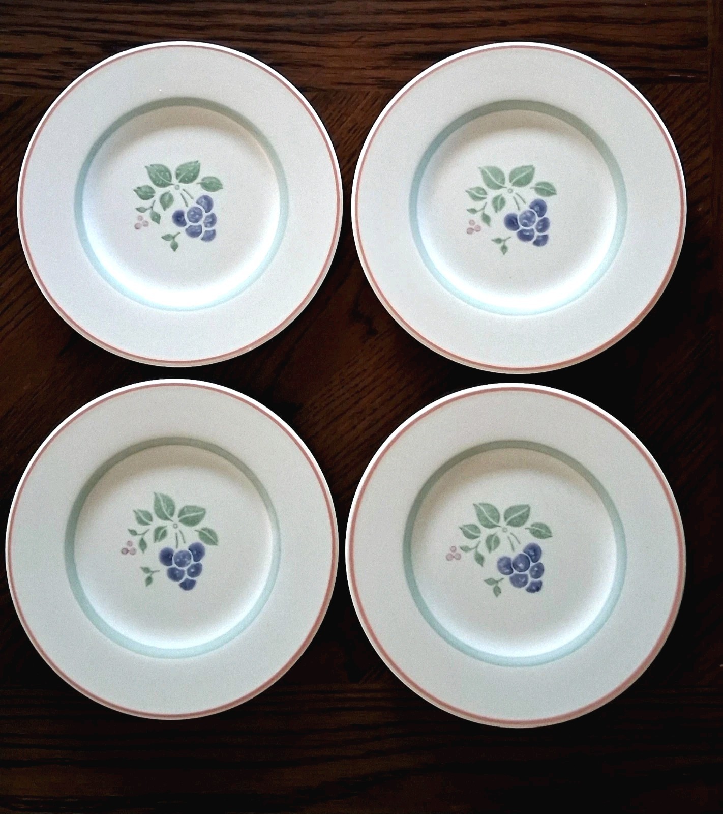 Set Of 4 Pfaltzgraff Garden Grove 8″ Salad Plates USA Stoneware