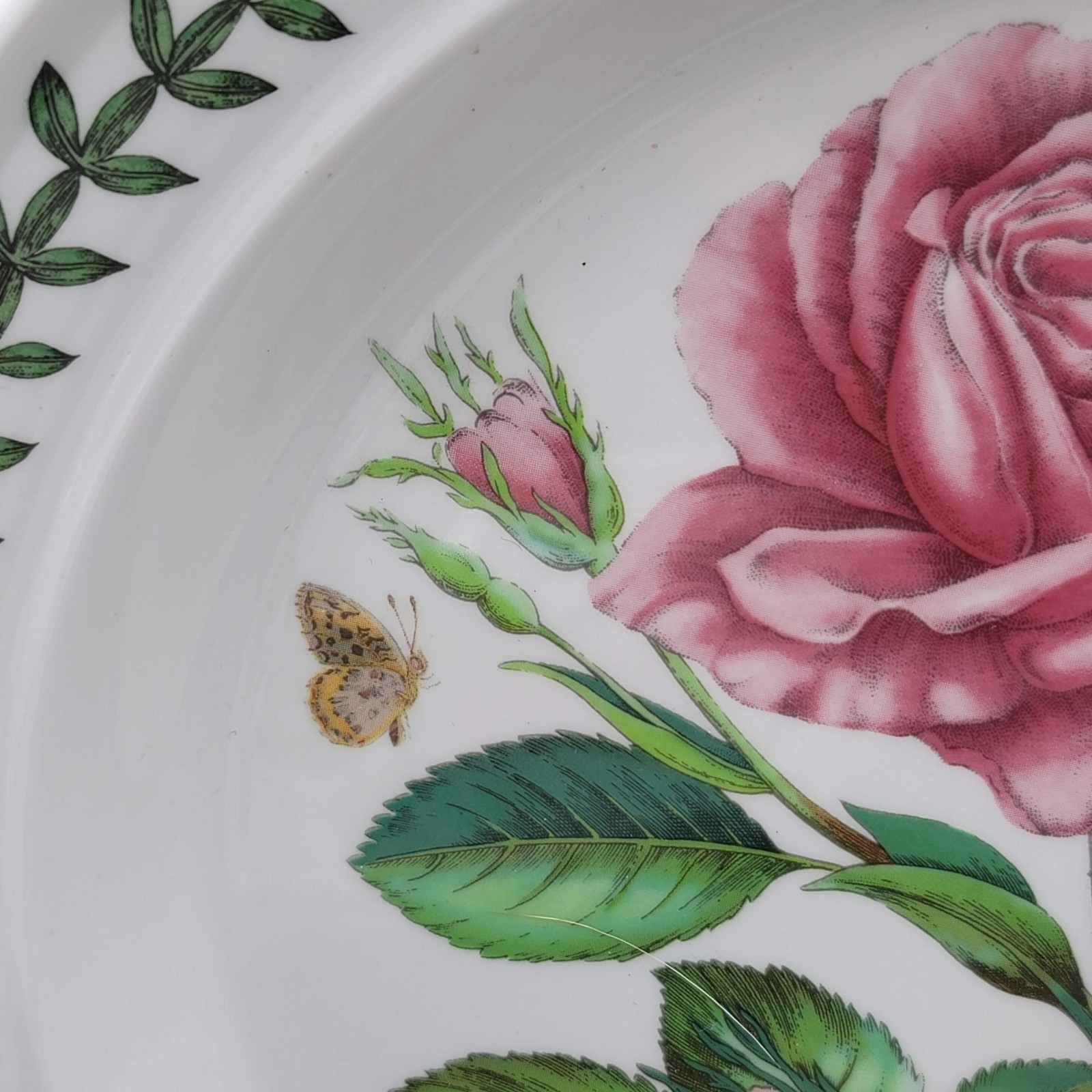 PORTMEIRION BOTANIC ROSES ROYAL HIGHNESS BUTTERFLY 10 1/2″ DINNER PLATE