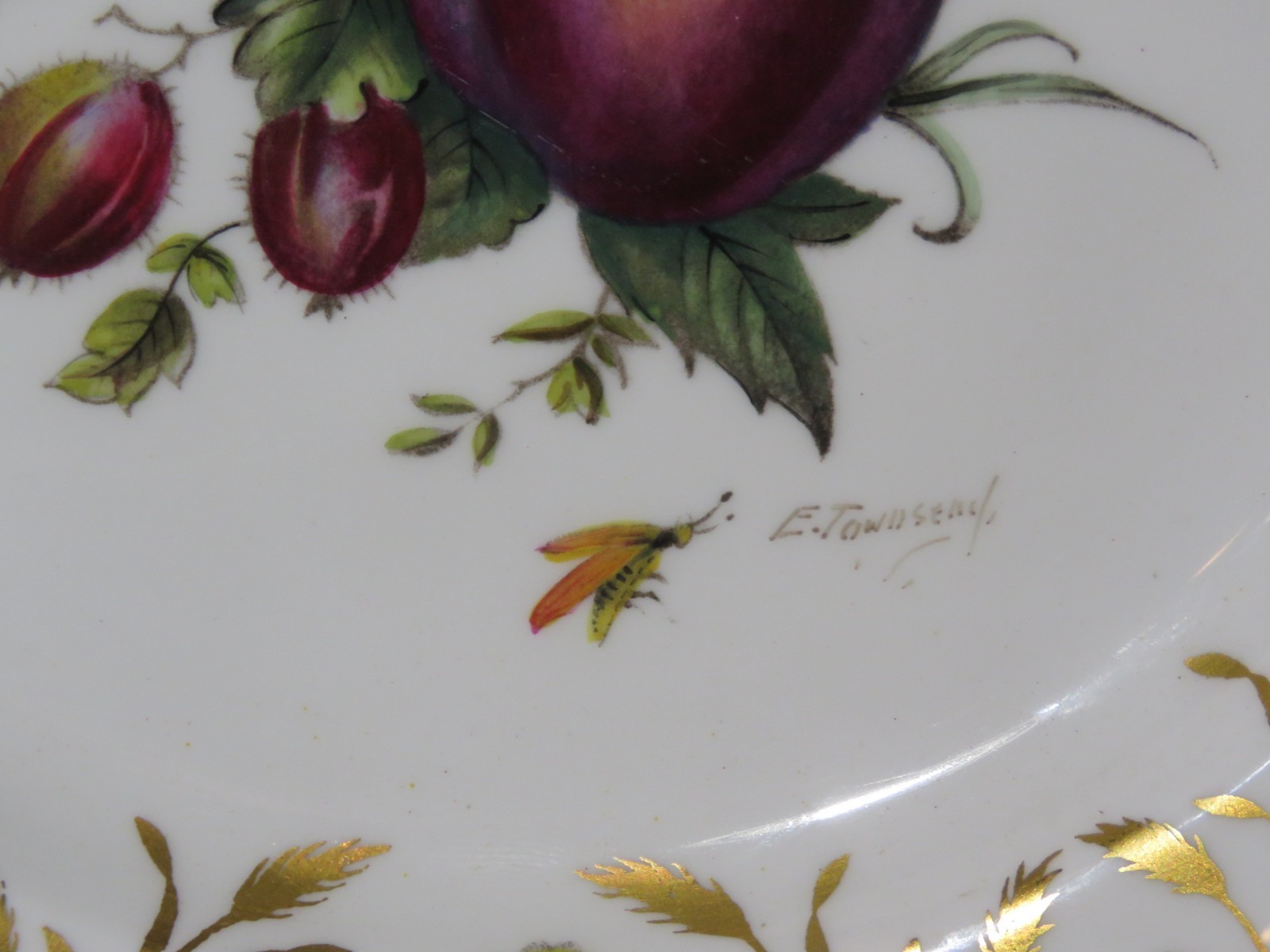 8 Royal Worcester 9″ Bone China Botanical Style Plates Signed E. Townsend