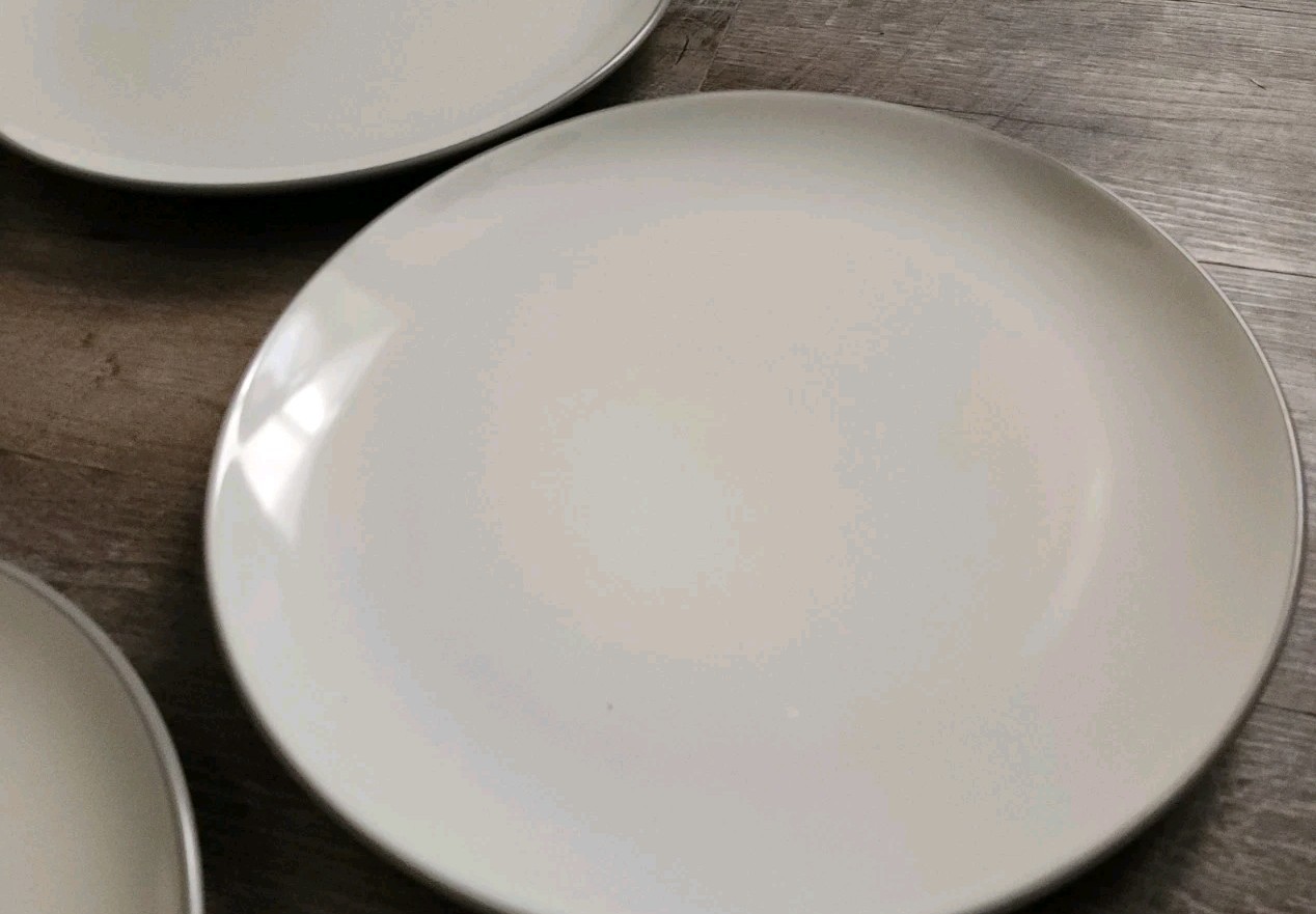 Set of 4 Colorwave Slate 5107 Noritake Dinner Plates Gray Cream Stoneware
