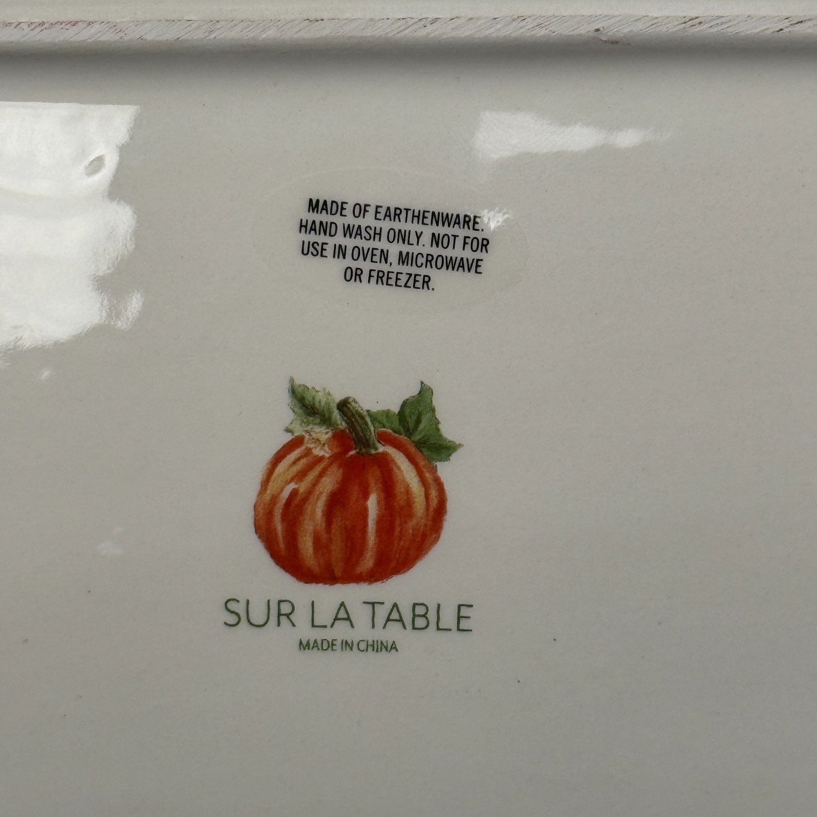 Sur La Table Pumpkin Fall Harvest Rectangular Serving Platter 14″X8″ Earthenware