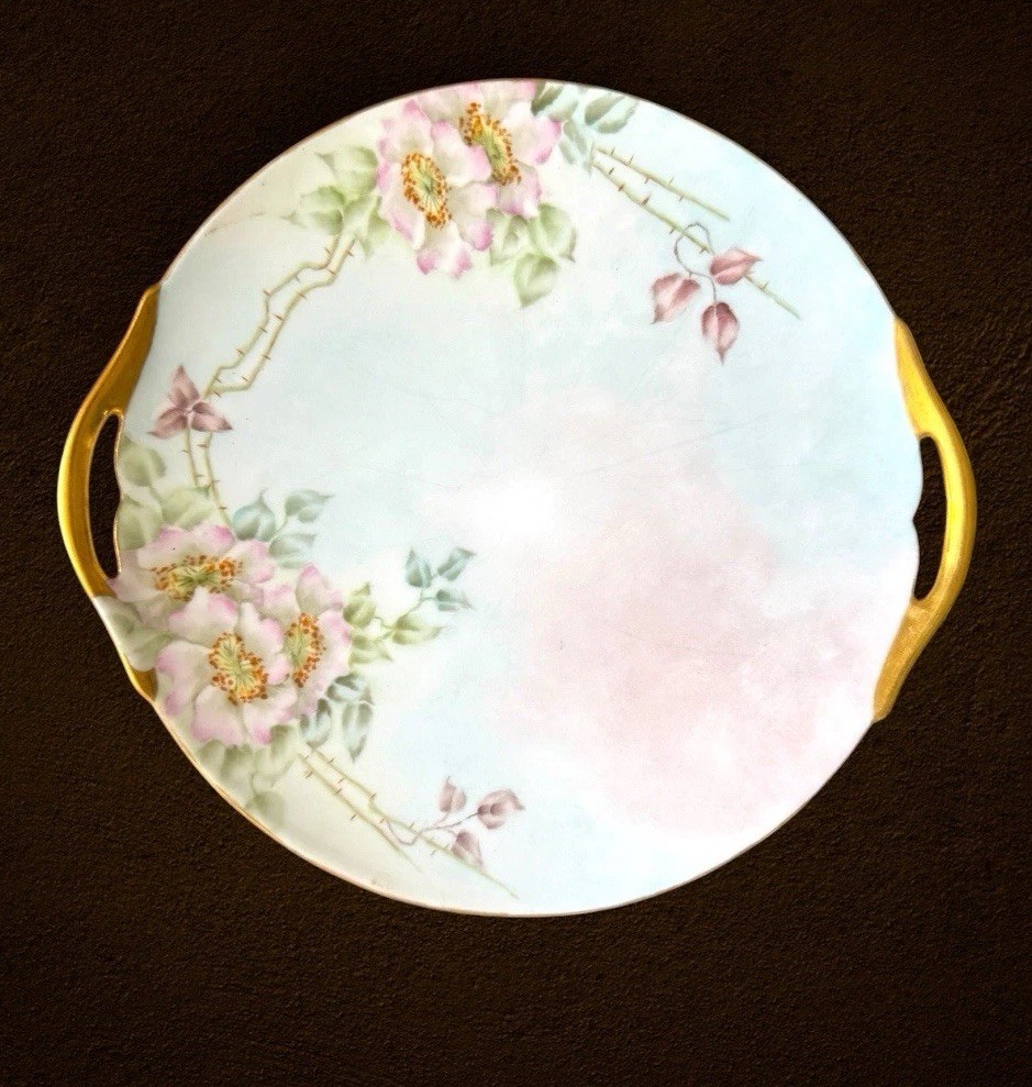 Antique D&C France Hand Painted Wild Rose Plate Pastel Gold Gilt Handle Trim 10″