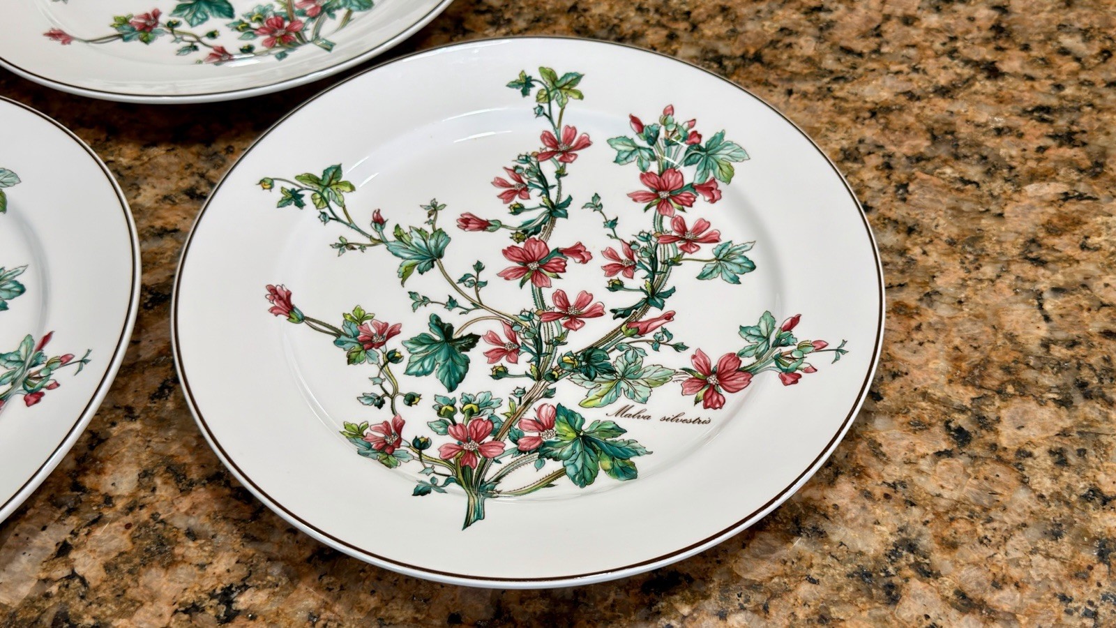 VTG Villeroy Boch Botanica Malva Silvestris 6 Dinner Plates 10-3/8 Luxembourg