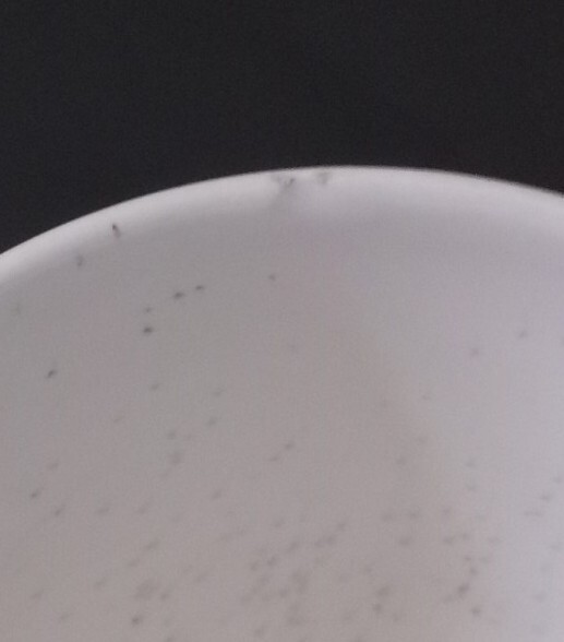 Vintage Vernon Ware “Anytime” Mid-Century Coffee/Tea Cups