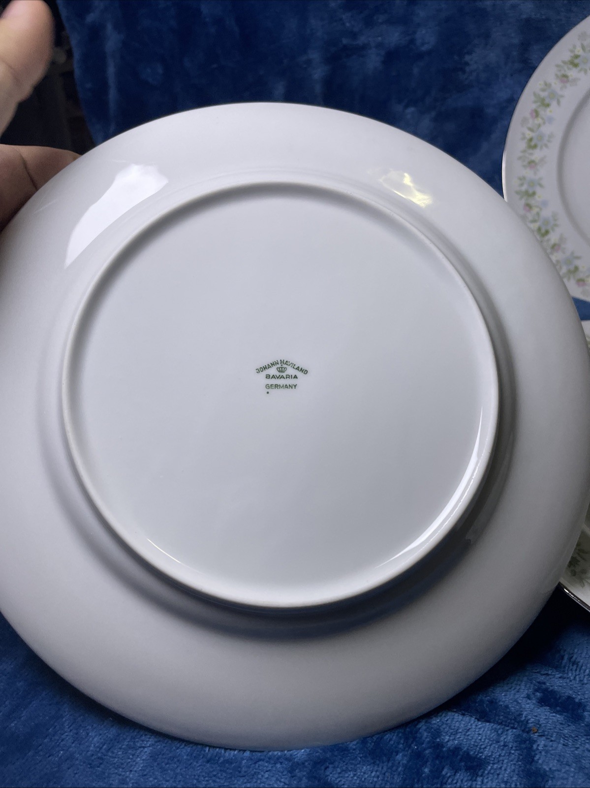 Johann Haviland Bavaria Germany “Forever Spring” Set of 4 DinnerPlates, 10”
