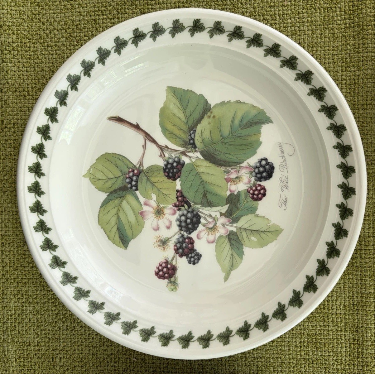 3 Portmeirion Pomona 8/58” Salad Plates w/Border-Fruit Patterns Made In England