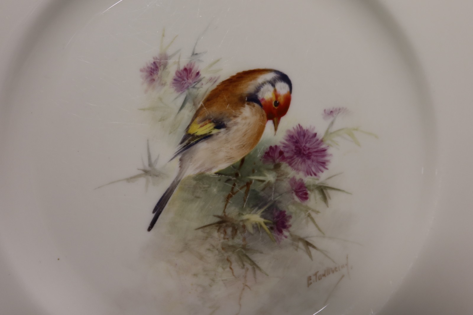Royal Worcester Multi-Motif Birds Bone China 2 Dinner Plates Artist E. Townsend