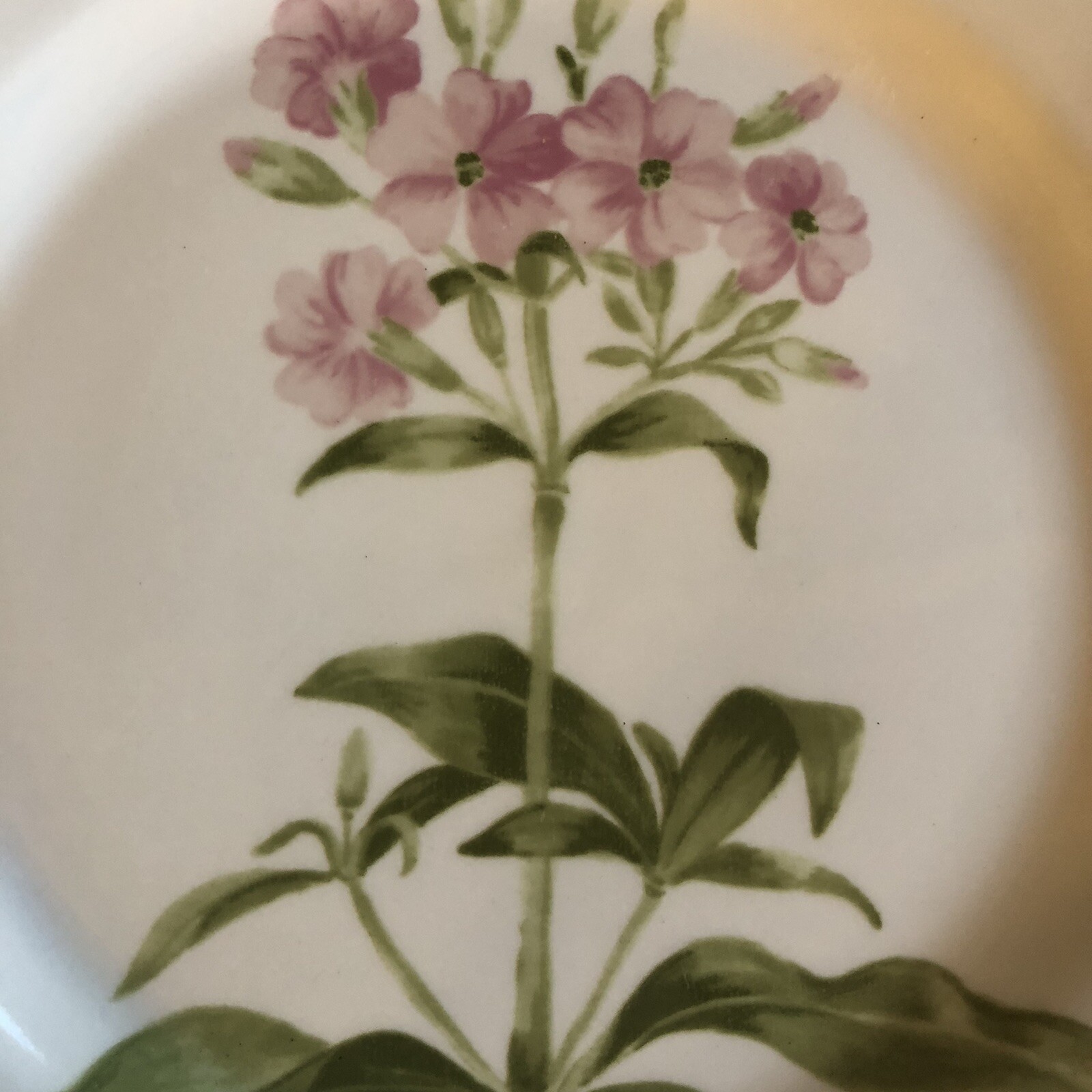 Fairfield Garden Verbena Dinner Plate 10.25″ 1 Of 6 Sold Separately
