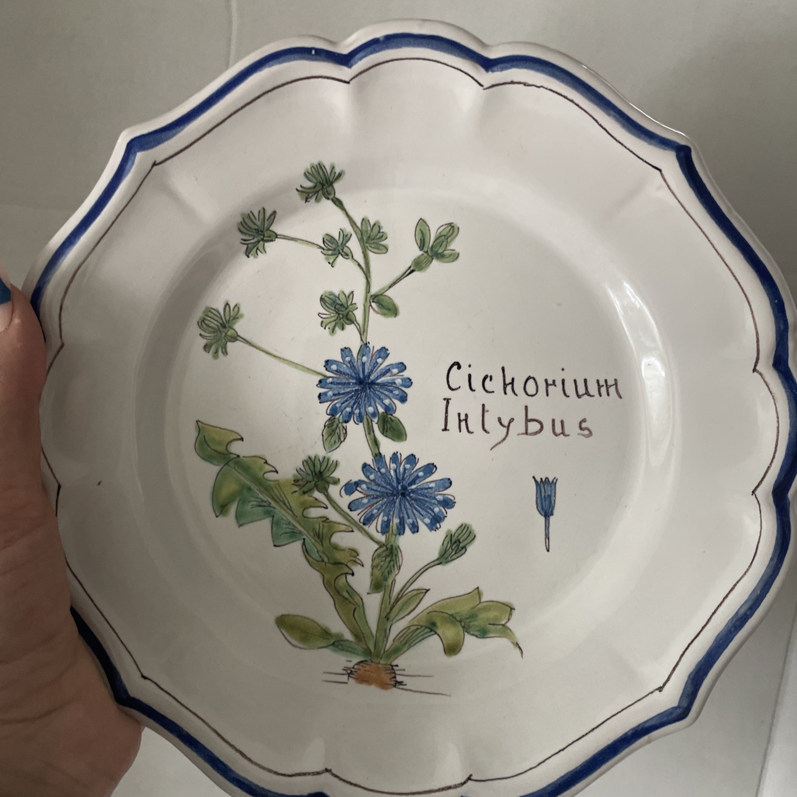 Vintage ND Dolfi Montelupo Italy Floral Wall Plates Set of 2