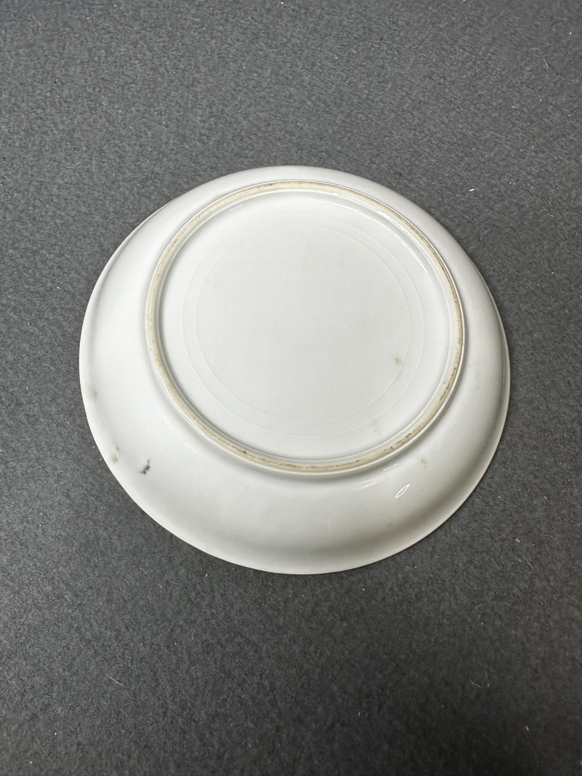 Vintage Set of (11) Hand Painted Thomas S Bavaria 7.5″ Bread Plates