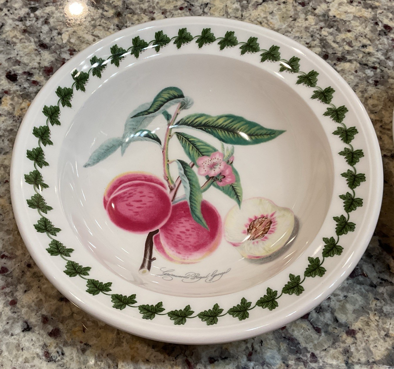 PORTMEIRION Set of 6 POMONA Rimmed Oatmeal Bowls – 6.5 in Made In England NWT
