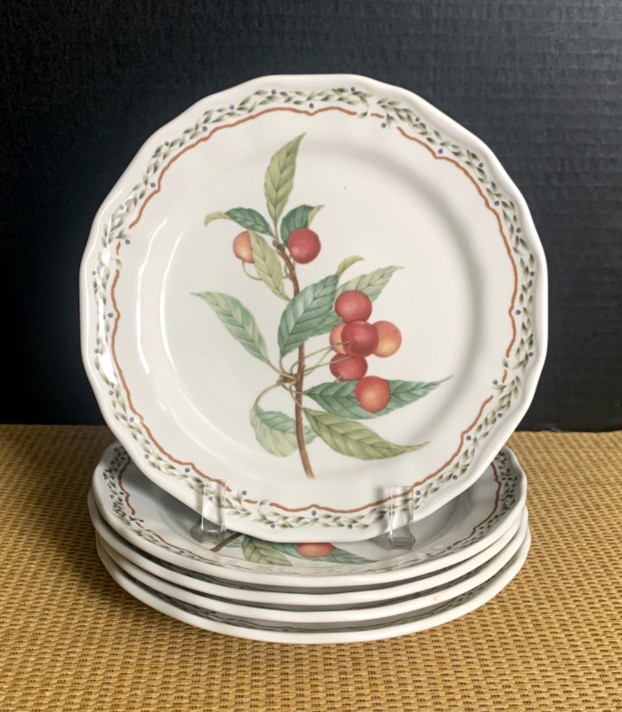 Noritake Casual Gourmet HARVEST Salad Dessert Plates Fruit 8.25″ Laurel Set 5