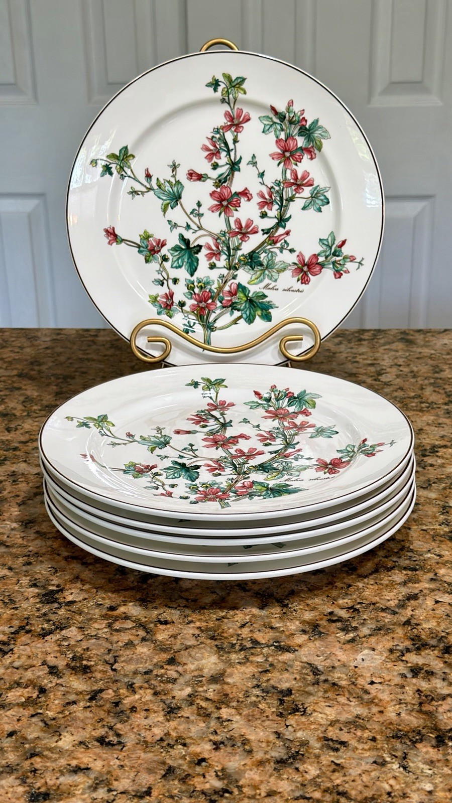 VTG Villeroy Boch Botanica Malva Silvestris 6 Dinner Plates 10-3/8 Luxembourg