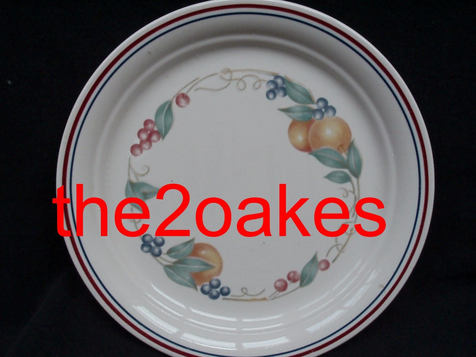 4 Corelle ABUNDANCE 10-1/4″ Dinner Plates