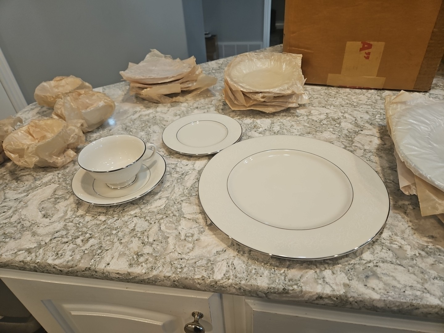 Cathedral Garland Rose Platinum Trim 6 Place Settings 24pc Total Unused 1960s