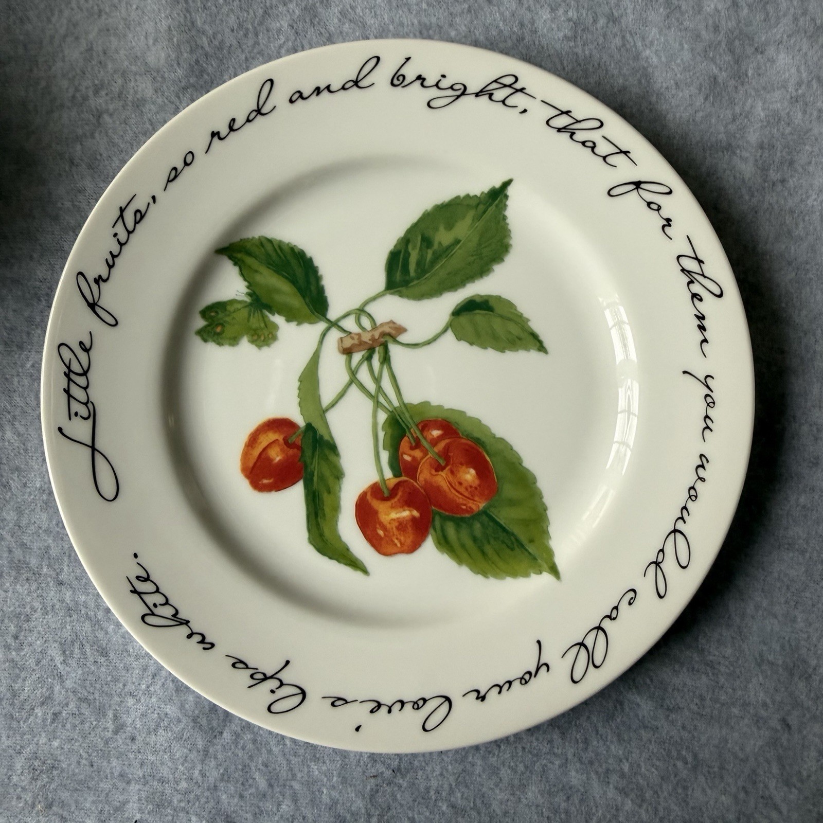 Williams-Sonoma Orchard Suite Cherries Japan Plate Wall Decor Poem John Donne 8”