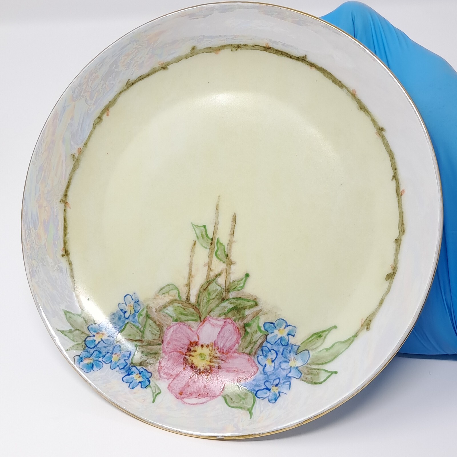 Hutschenreuther 6″ Porcelain Plates set of 6 handpainted florals lustre rim Selb