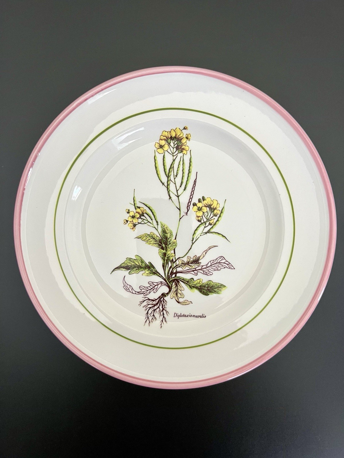 Vintage Botanical Plates 8″ Italy La Primula Hand-Painted Salad Plate Pink Rim