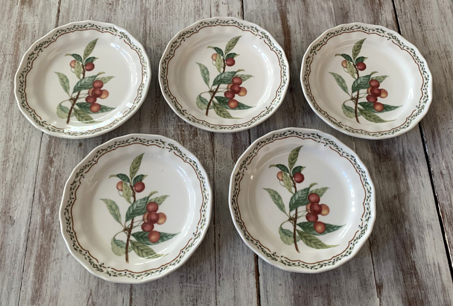 Noritake Casual Gourmet HARVEST Salad Dessert Plates Fruit 8.25″ Laurel Set 5
