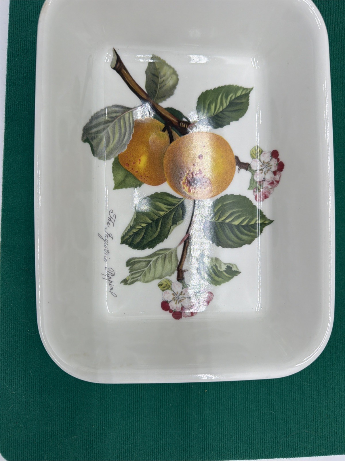 Portmeirion Pomona Pan 8.5″ Pippin Leaves Blooms Fruit Discontinued EXC+