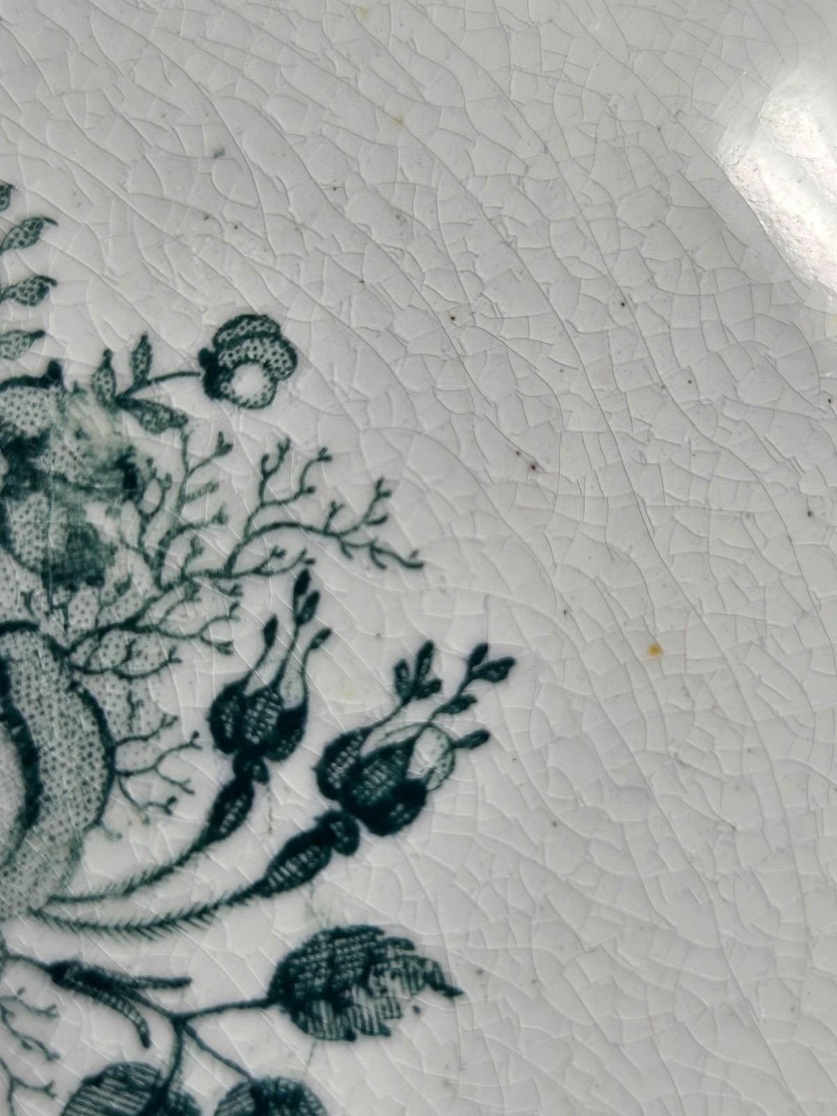 E. Challinor Princes Feather Plate 8 1/2″ C. 1842-72