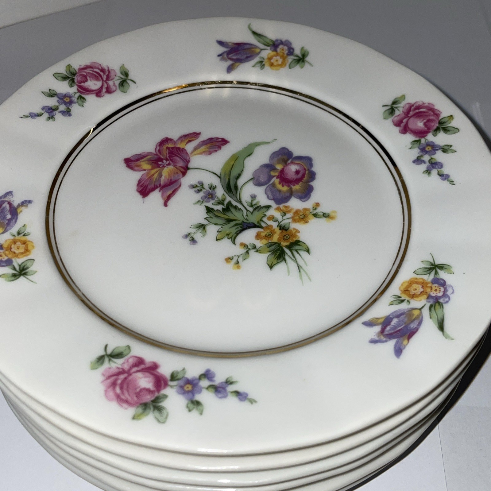 Raynaud Limoges Dresden Floral Style 6 bread dessert Plates 6 1/4” Gimbel bros.