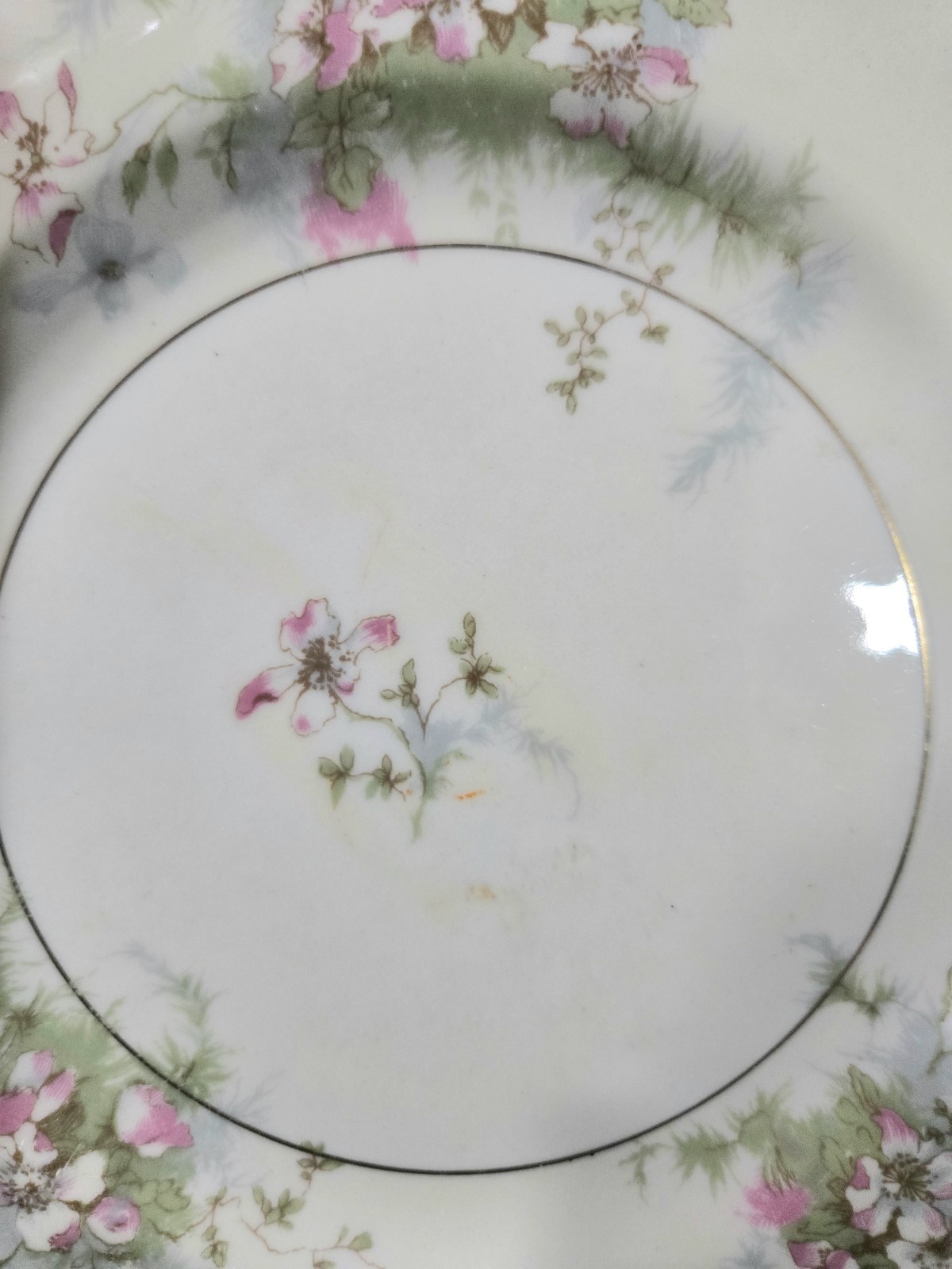 MINT Theodore Haviland New York Apple Blossom Salad Plates — Set of 4 Gold Trim