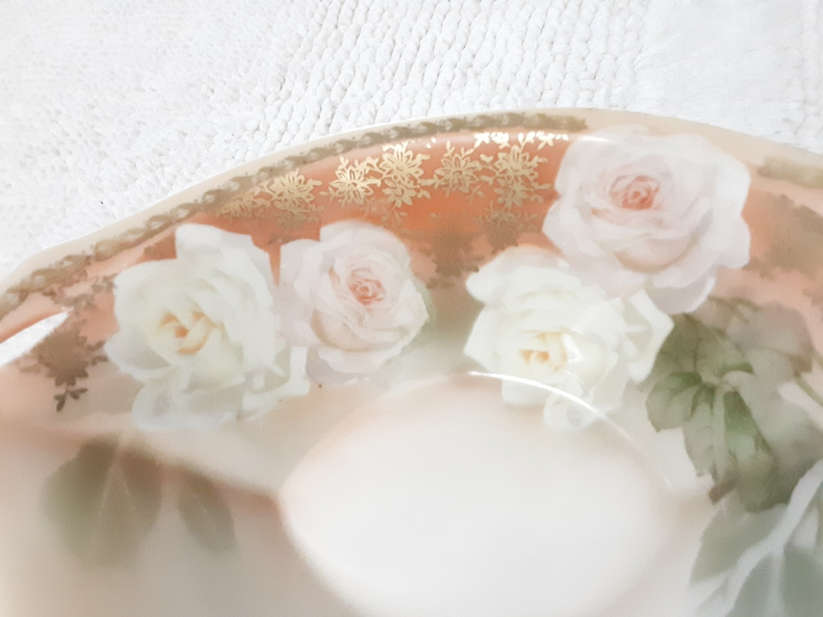 RS Tillowitz Silesia Bowl Oval Footed Pale Peach Orange white Pink Roses 8″
