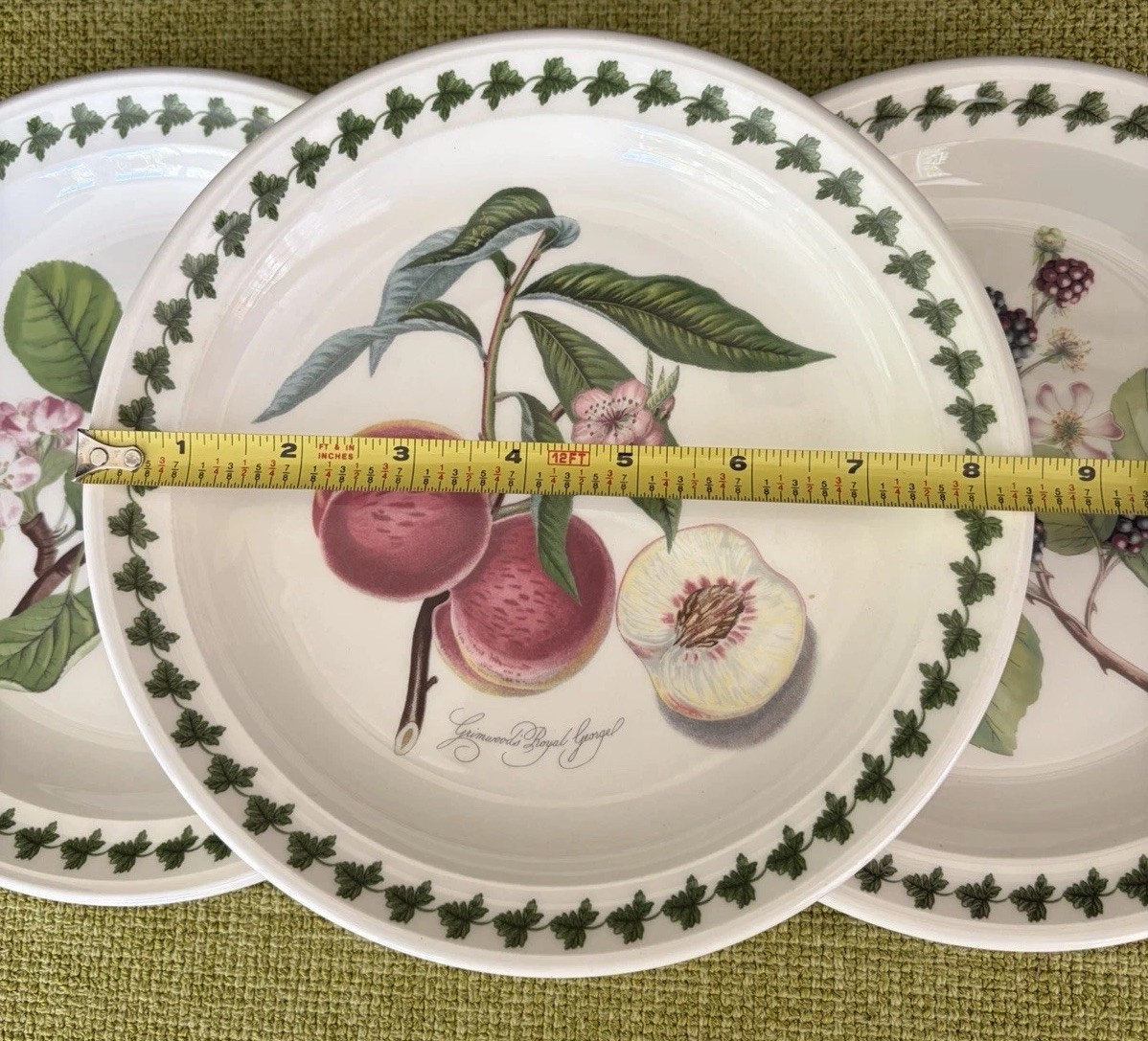 3 Portmeirion Pomona 8/58” Salad Plates w/Border-Fruit Patterns Made In England