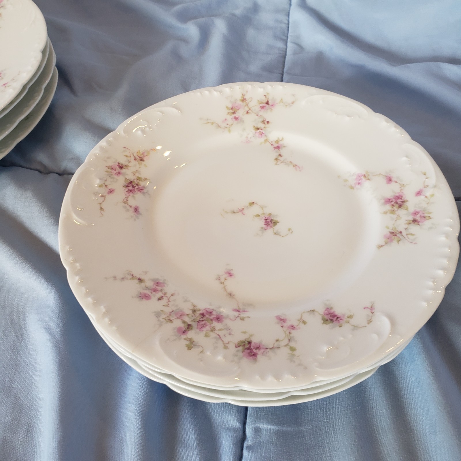 Theodore Haviland Limoges France Set of 12 Antique Plates French Porcelain