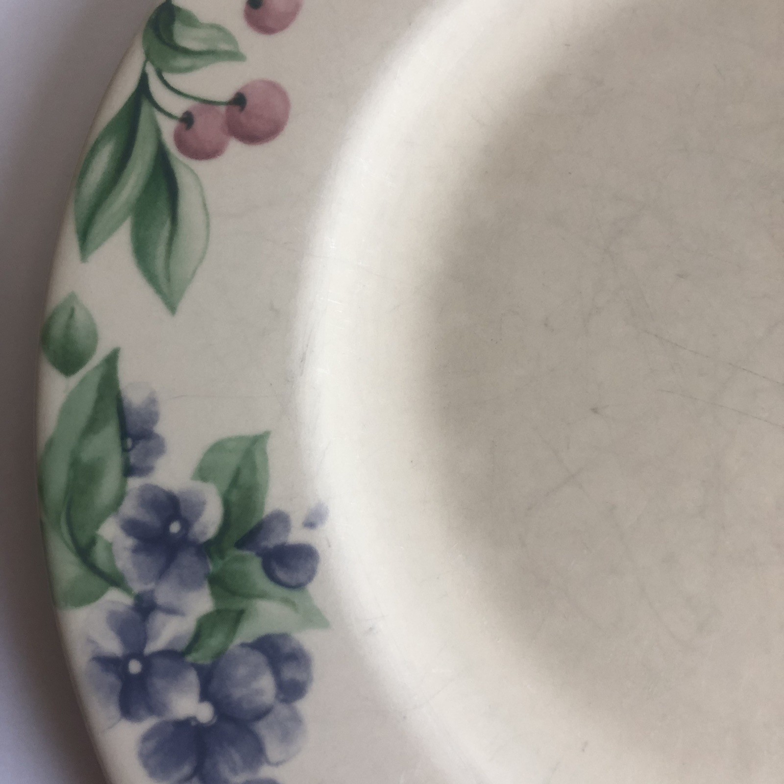 Pfaltzgraff Garden Party Impressions Dinner Plate 10.5″ Sold Separate 8 Availabl