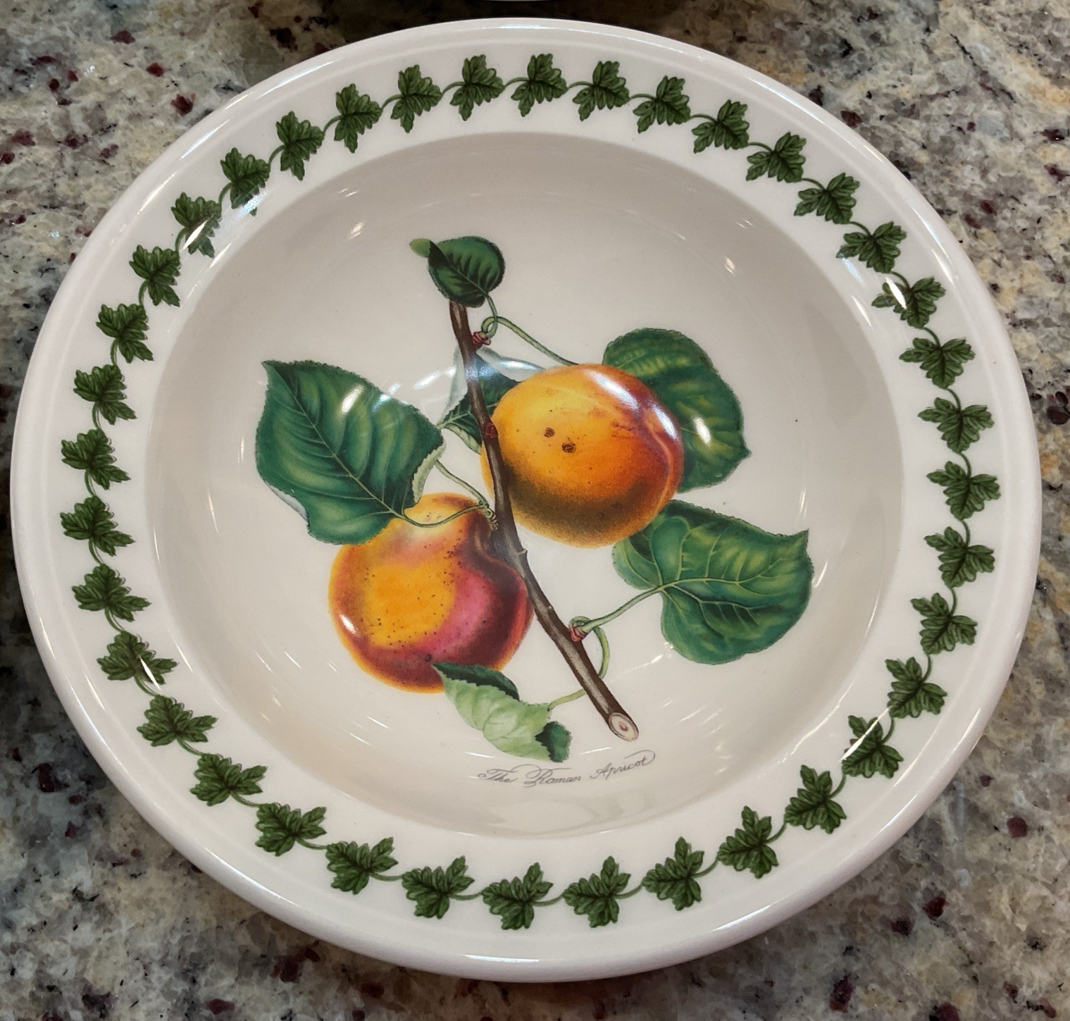 PORTMEIRION Set of 6 POMONA Rimmed Oatmeal Bowls – 6.5 in Made In England NWT