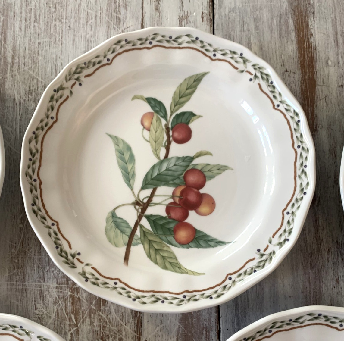 Noritake Casual Gourmet HARVEST Salad Dessert Plates Fruit 8.25″ Laurel Set 5