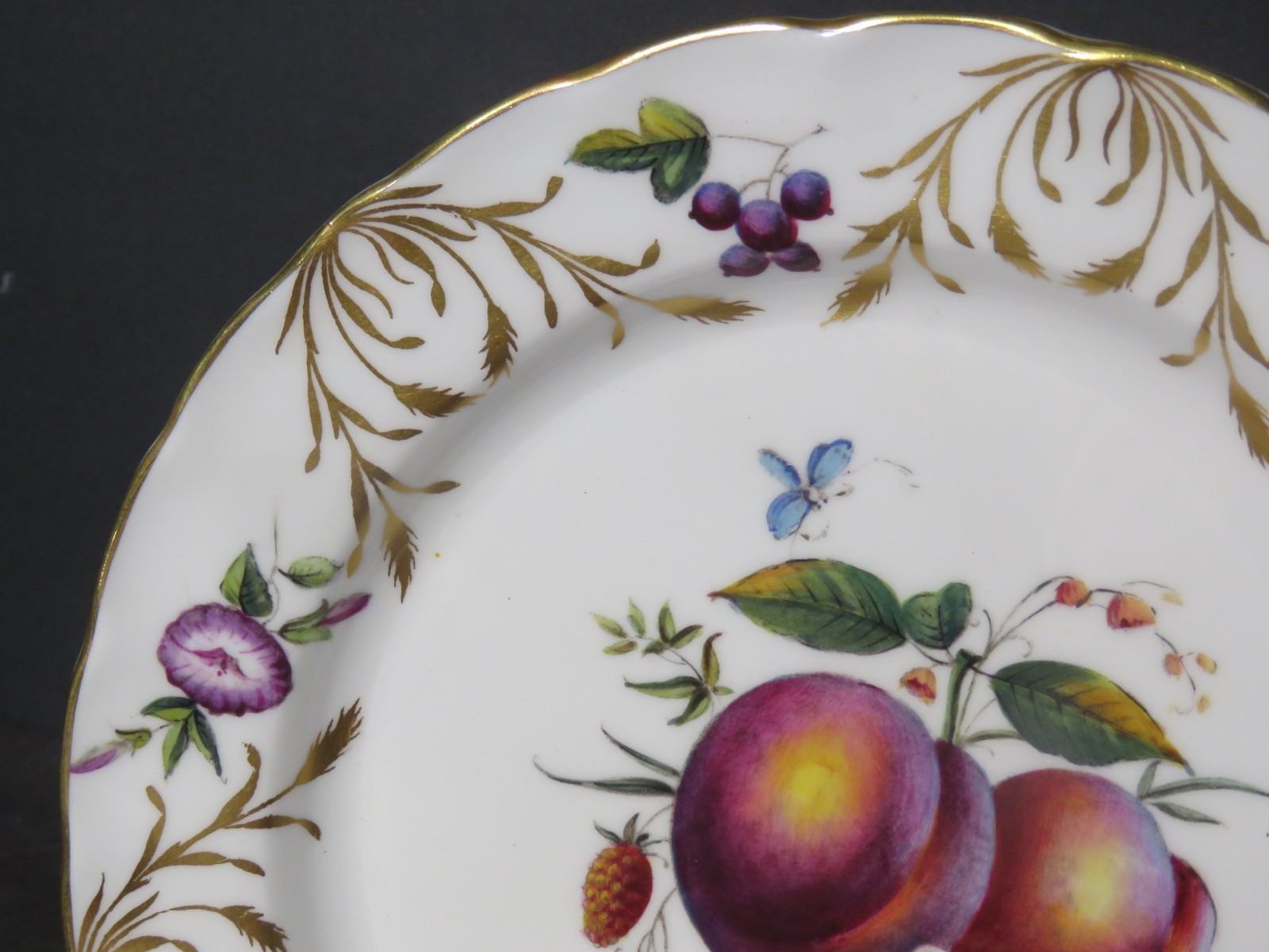 8 Royal Worcester 9″ Bone China Botanical Style Plates Signed E. Townsend